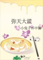 弥天大谎